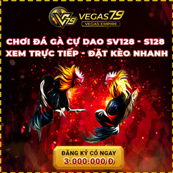Vegas79 thưởng 100k chơi đá gà online đá gà trực tiếp Vegas79 Casino